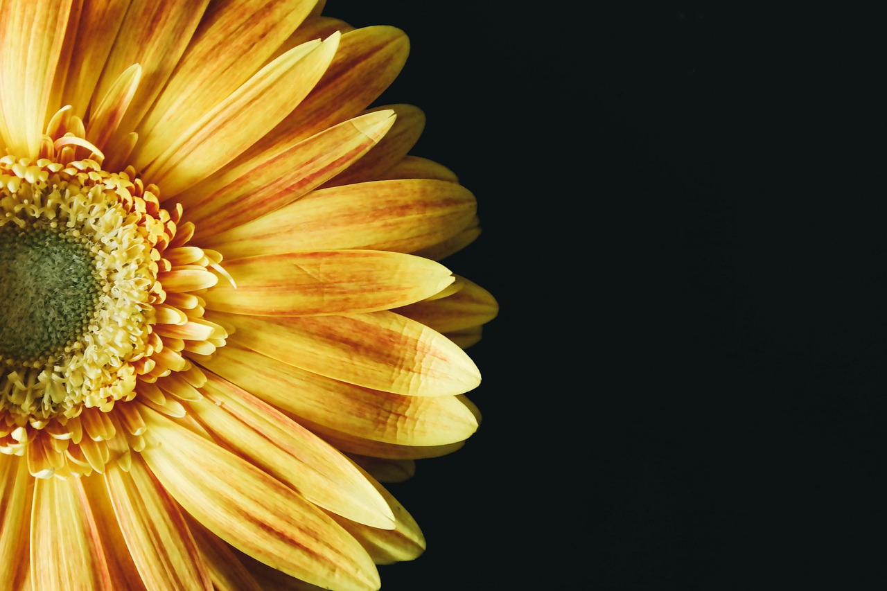 Achtertuin zen sfeer met meditatieve elementen. Achtertuin zen sfeer met meditatieve elementen.