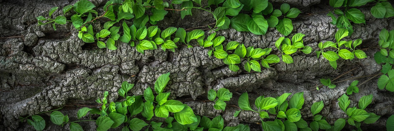 Wandpanelen hout textuur creëert gezellige sfeer. Wandpanelen hout textuur creëert gezellige sfeer.