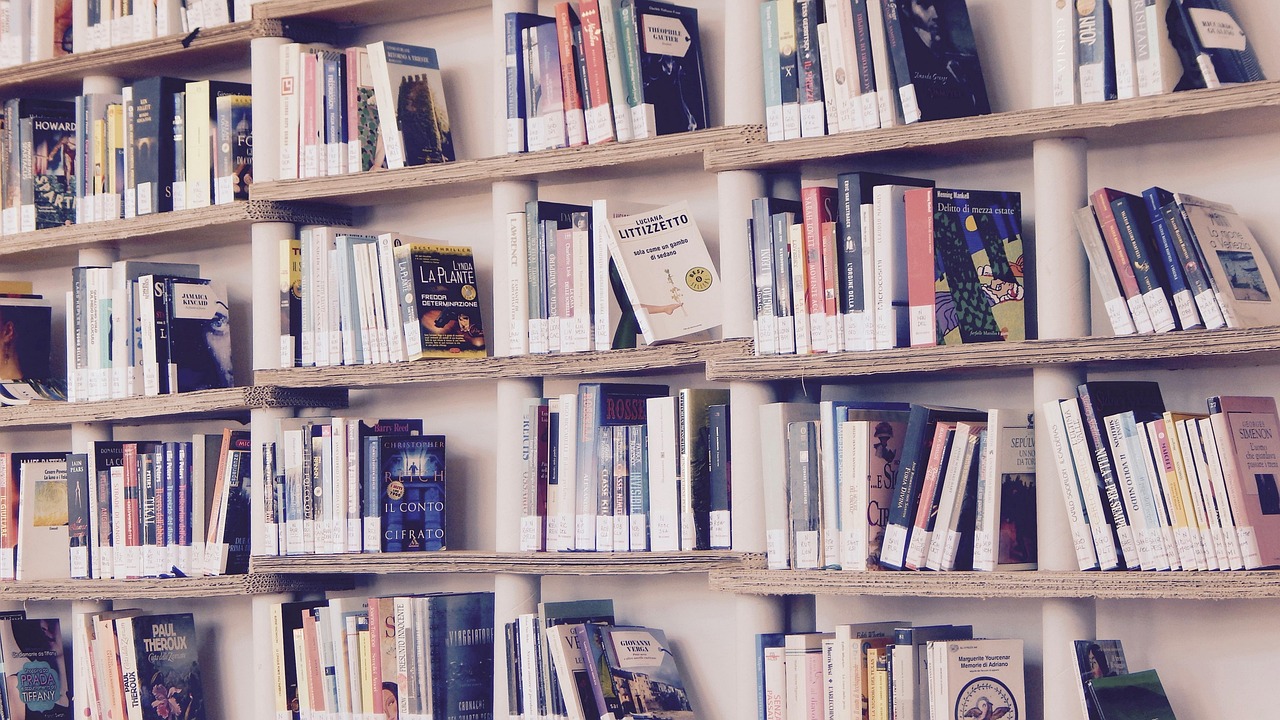Moderne woonkamer met ingebouwde boekenwand Moderne woonkamer met ingebouwde boekenwand