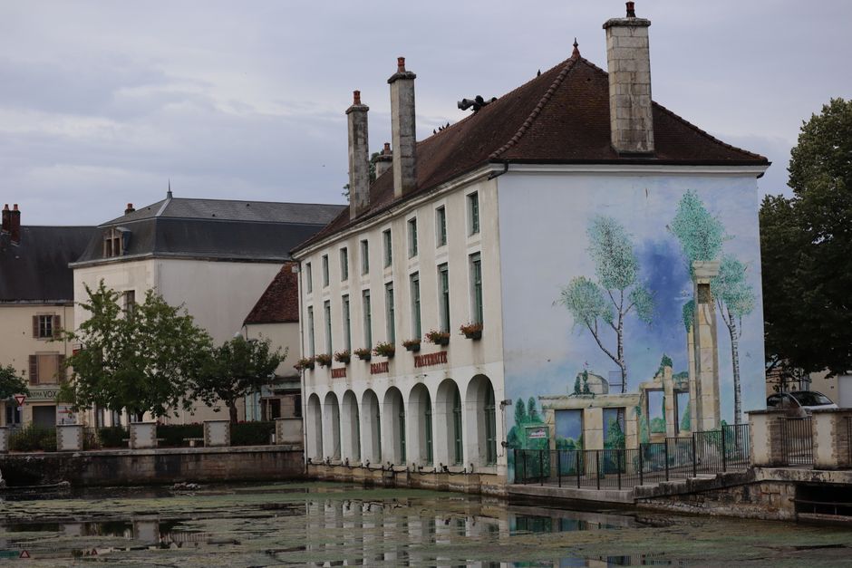 Bamboe kwasten voor groene wandkunst.