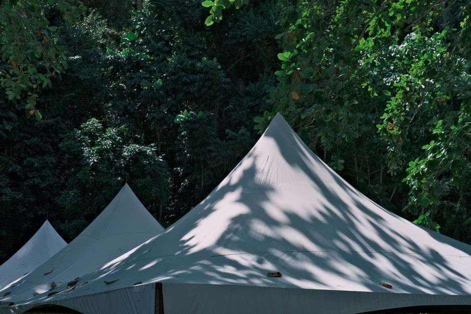 Minimalistische pergola met klimplanten en hanglampen.